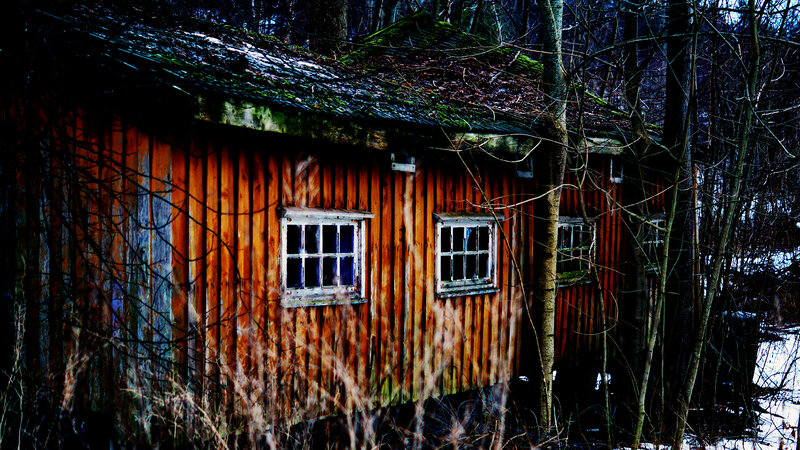 Abandoned Cabin in Forest — Brown, Dreary