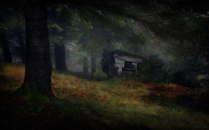 Abandoned Cabin in Forest — Green, Dark, Night, Photograph