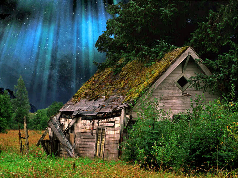 Abandoned Cabin in Forest — Green, Dramatic