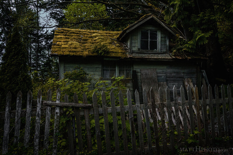 Abandoned Cabin in Forest — Green, Dreary, Photograph