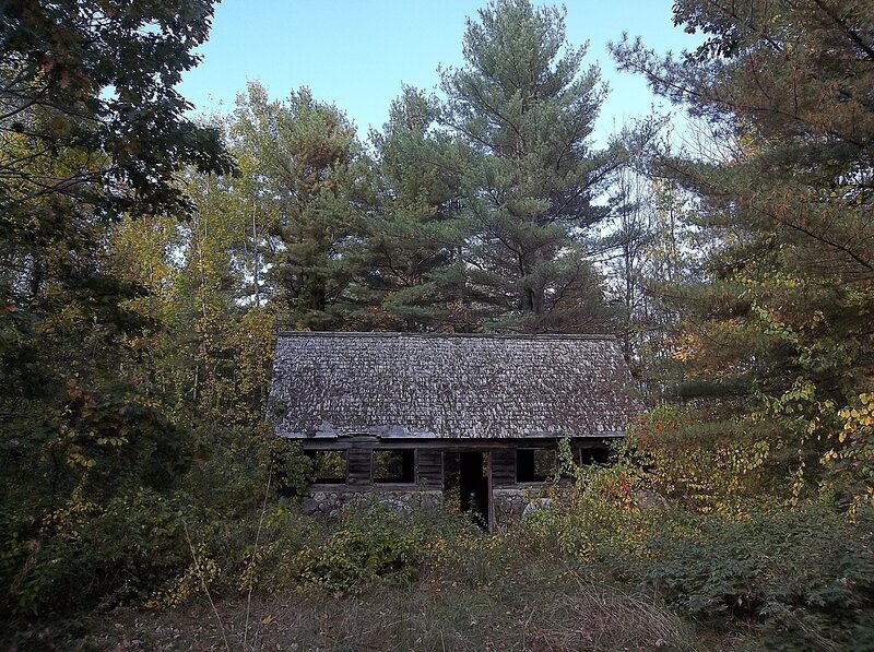 Abandoned Cabin in Forest — Green, Quiet