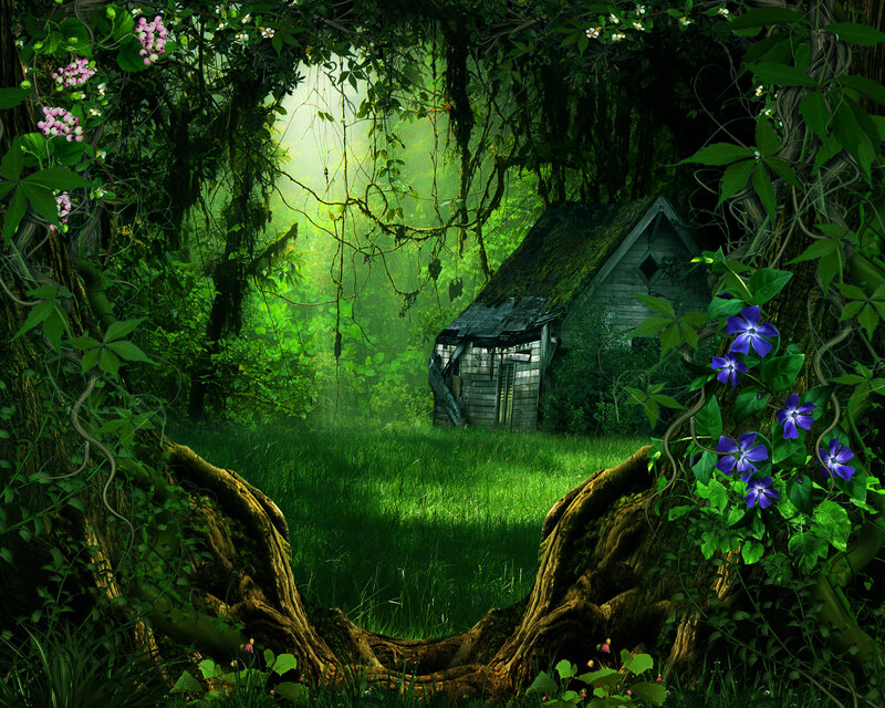 Abandoned Cabin in Forest — Green, Serene