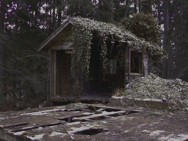 Abandoned Cabin in Forest — Green