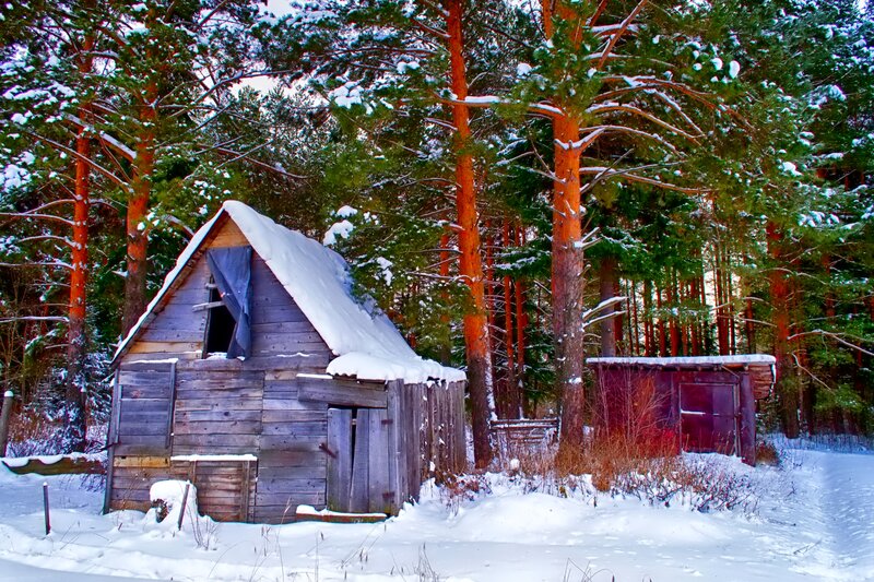 Abandoned Cabin in Forest — White