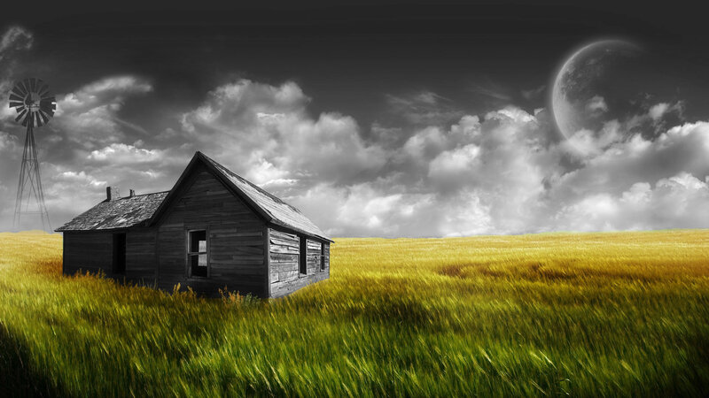 Abandoned cabin in golden field