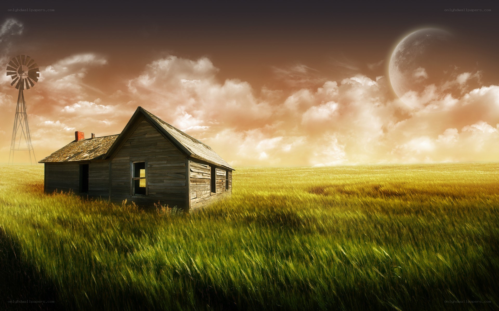 Abandoned cabin in golden field