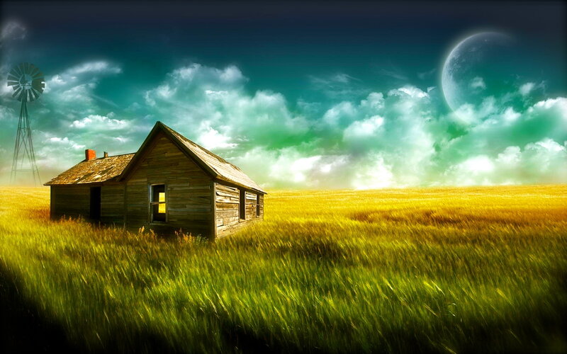 Abandoned cabin in golden field