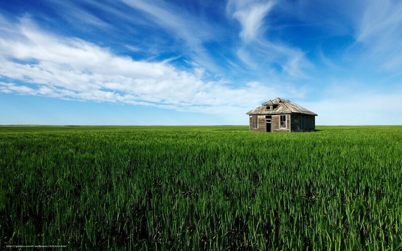 Abandoned cabin in green field