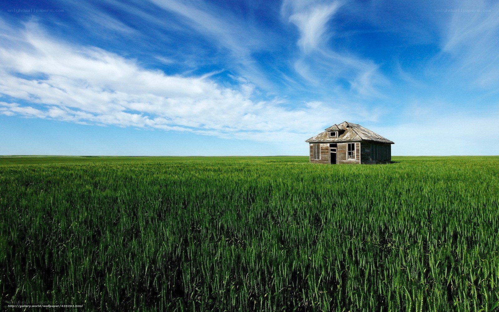 Abandoned cabin in green field