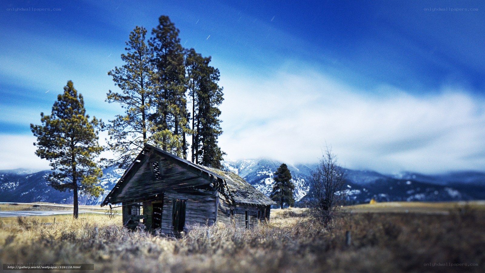 Abandoned cabin in mountain field