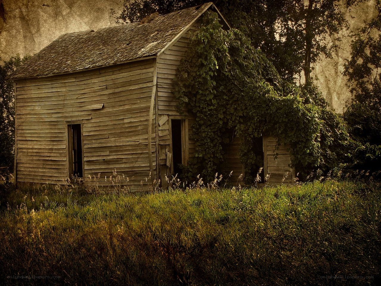 abandoned cabin in overgrown field