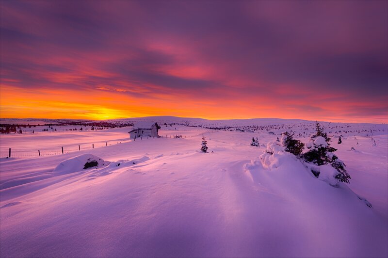 Abandoned Cabin in Snow — Purple