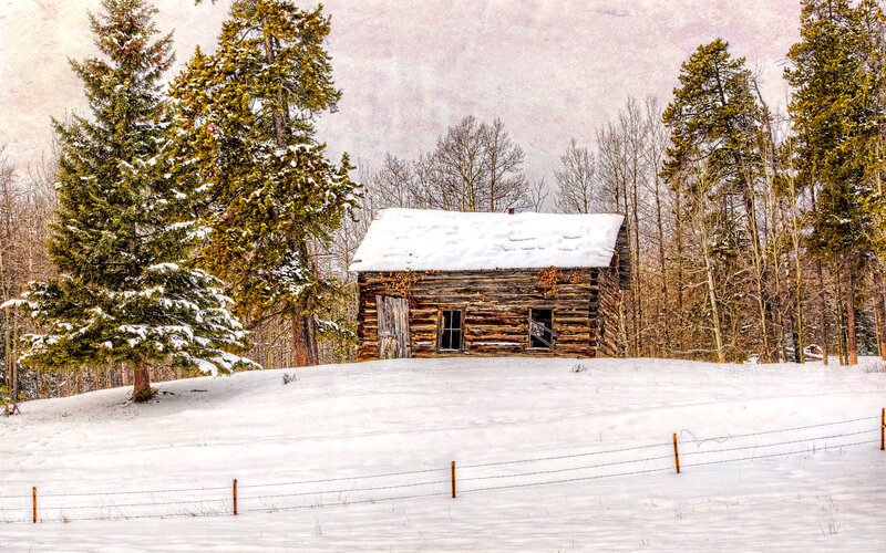Abandoned Cabin in Snow — White, Serene