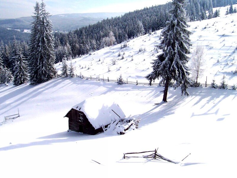 Abandoned Cabin in Snow — White, Serene, Winter, Photograph, Trees