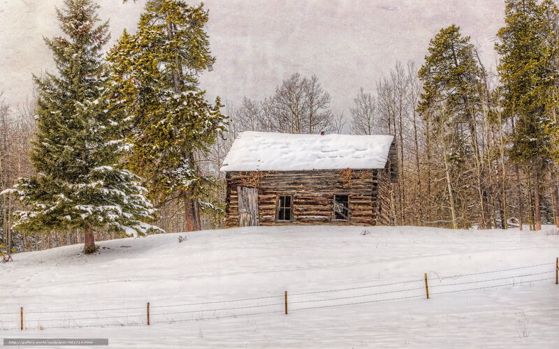 Abandoned Cabin in Snow — White, Serene, Winter