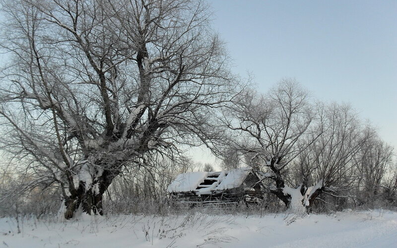 Abandoned Cabin in Snow — White
