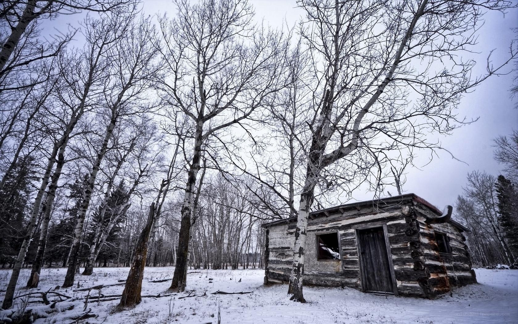 Abandoned cabin in snowy forest