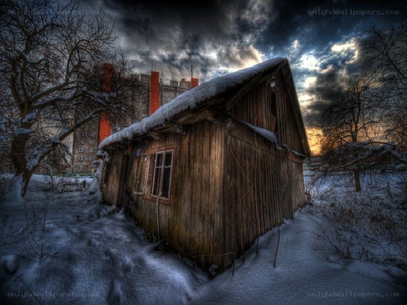 Abandoned cabin in snowy landscape