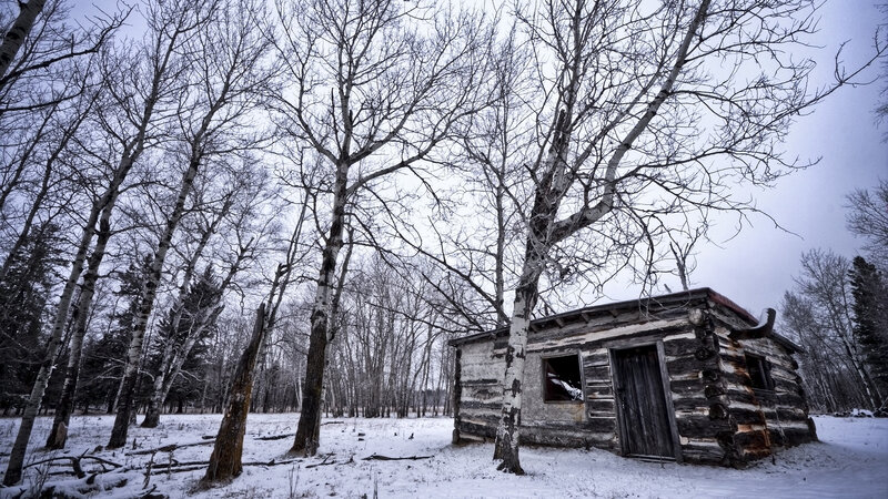Abandoned cabin in snowy woods