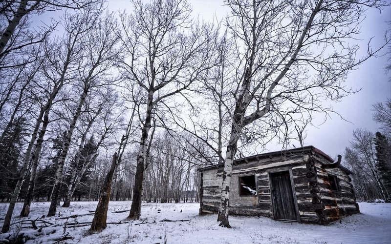 Abandoned cabin in snowy woods