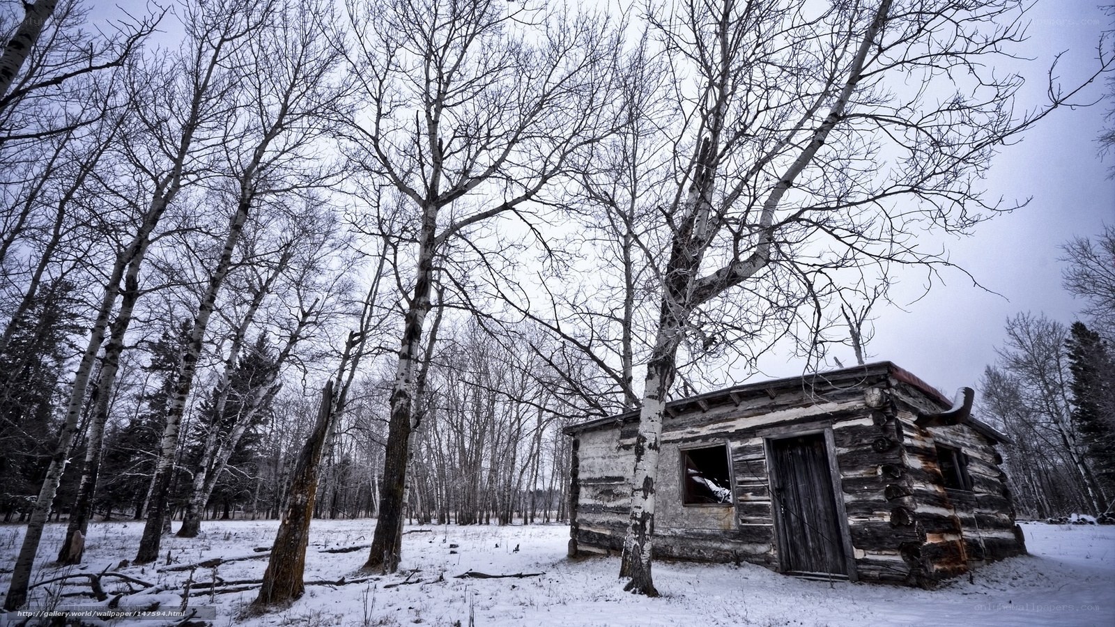 Abandoned cabin in snowy woods