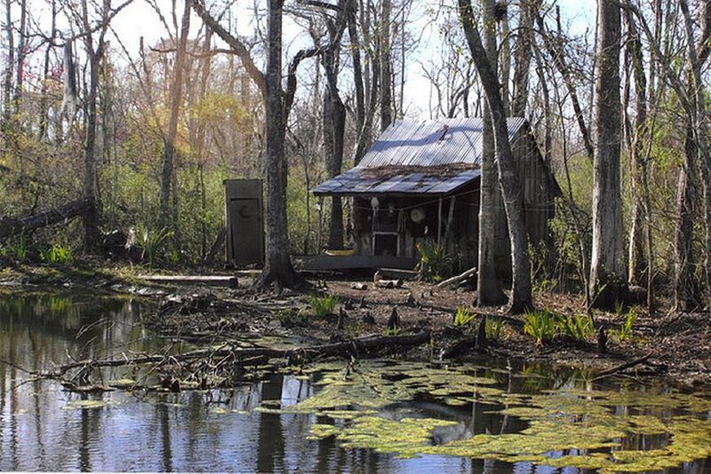Abandoned Cabin in Swamp — Brown