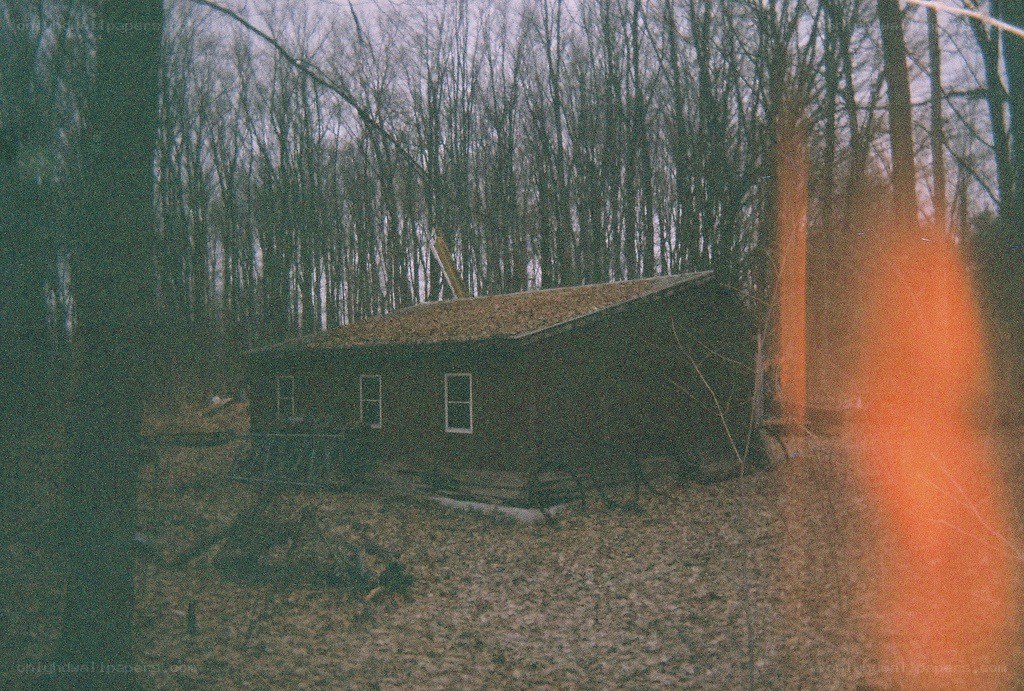 Abandoned cabin in the woods