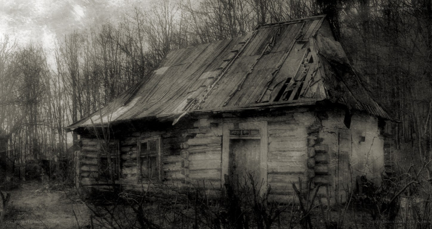 abandoned cabin in the woods