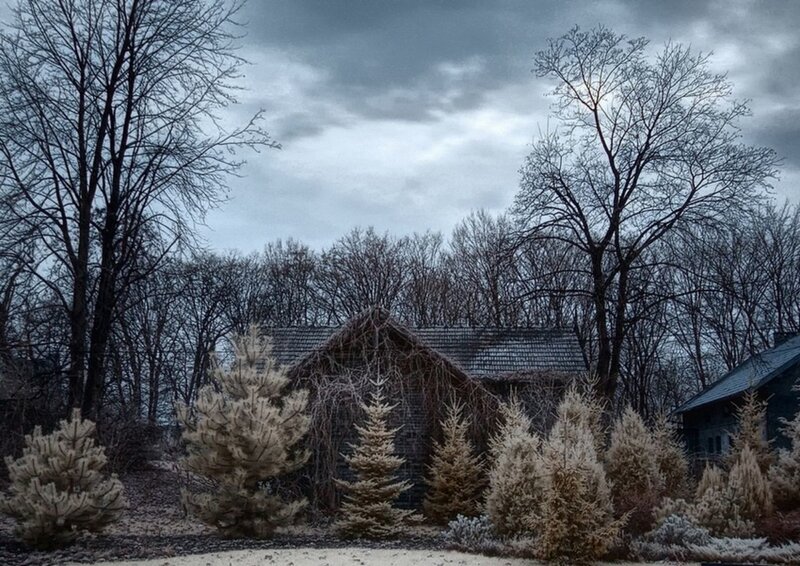 Abandoned Cabin in Winter — Gray