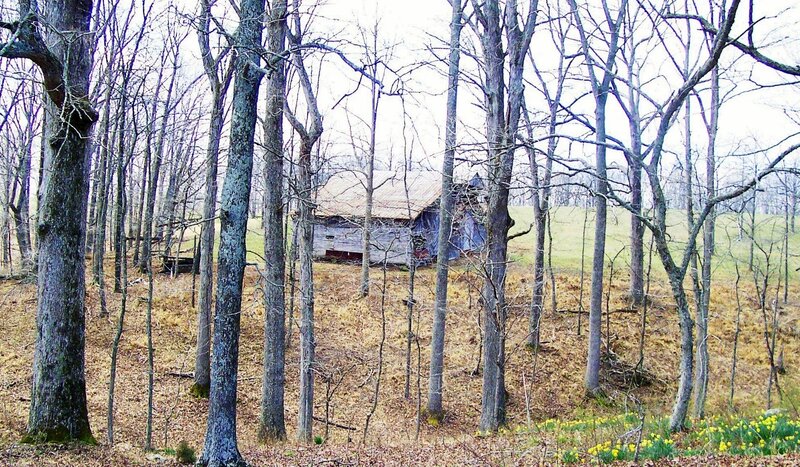 Abandoned cabin in wooded field