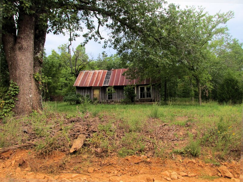 Abandoned Cabin in Woods — Green, Overgrown