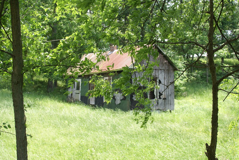 Abandoned Cabin in Woods — Green