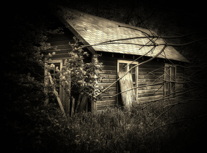 Abandoned Cabin in Woods