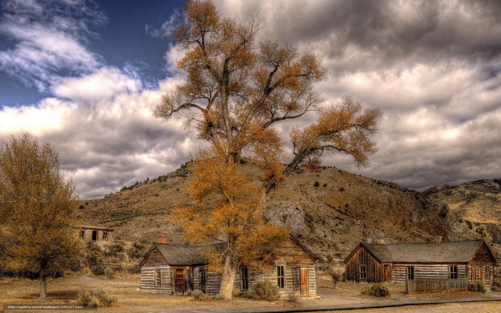 Abandoned cabins in autumn