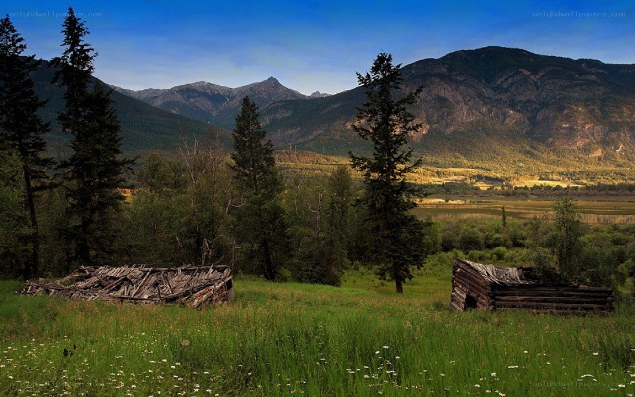 Abandoned cabins in mountain valley