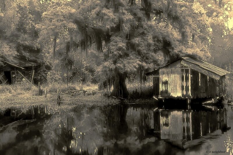 Abandoned Cabins in Swamp