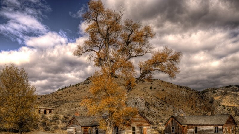 Abandoned Cabins on Hillside