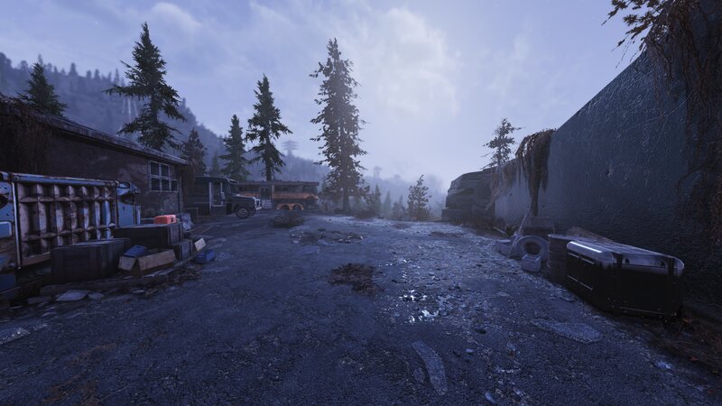Abandoned Camp in Forest — Gray