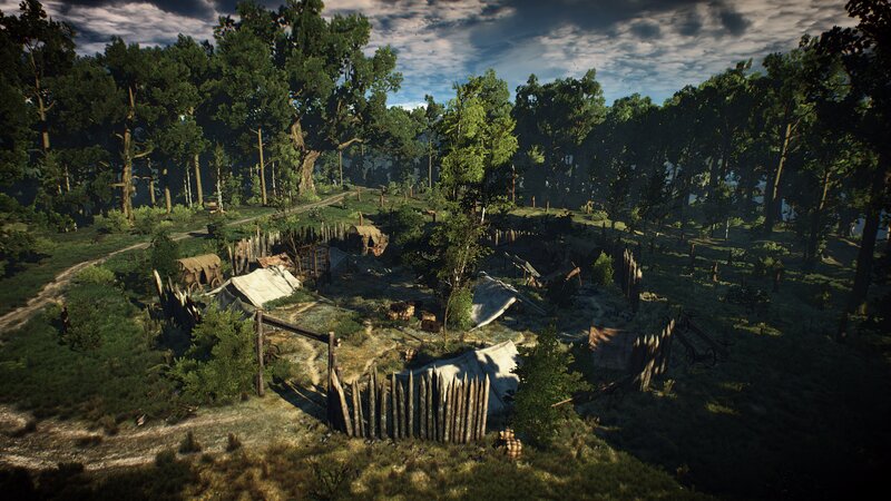 Abandoned Camp in Forest