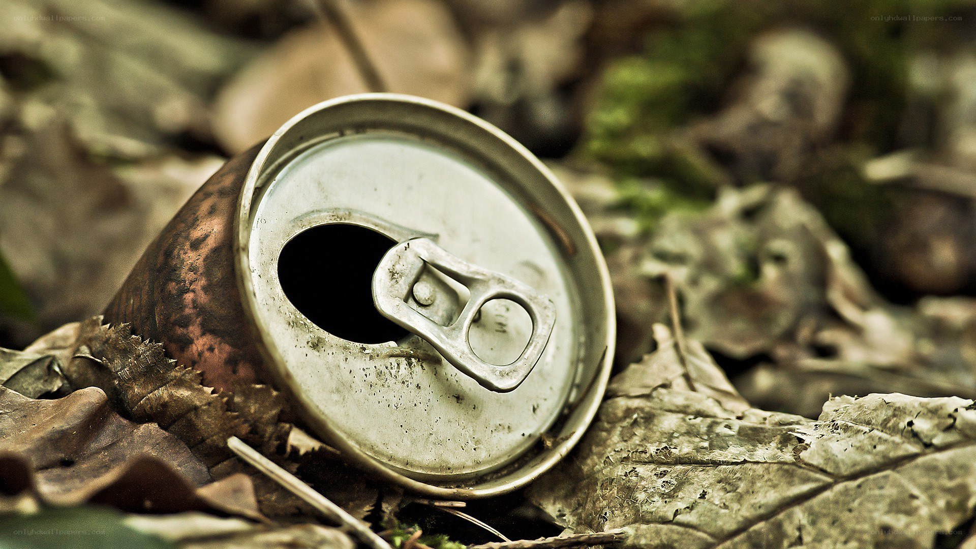 Abandoned can in forest