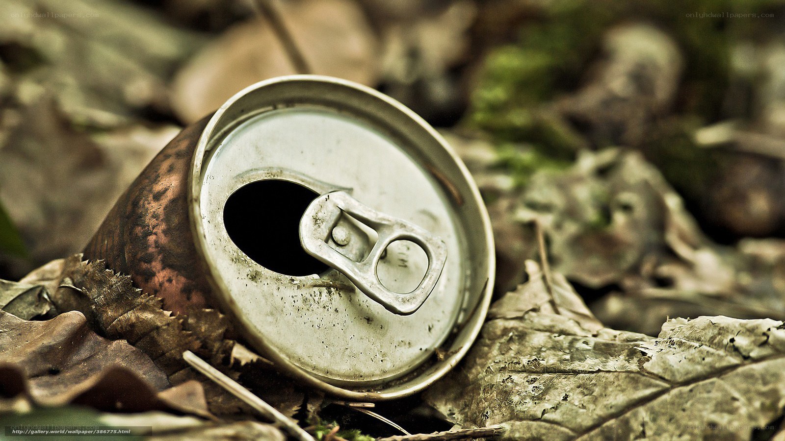 Abandoned can in forest