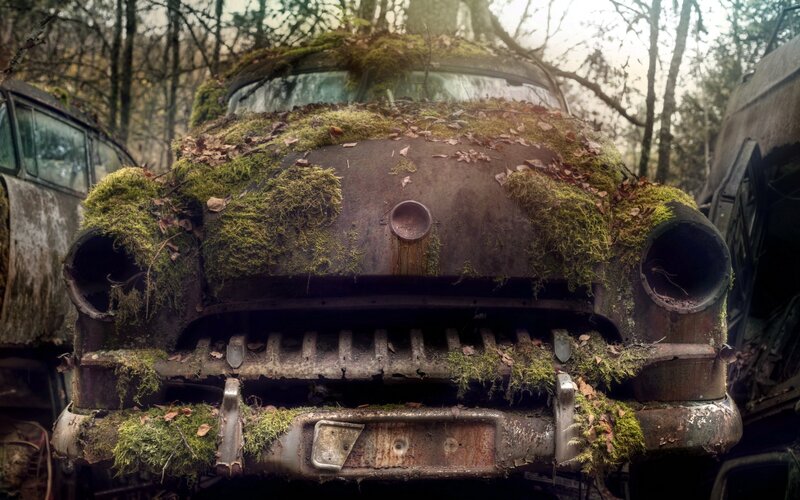 Abandoned Car Covered in Moss — Green, Dreary