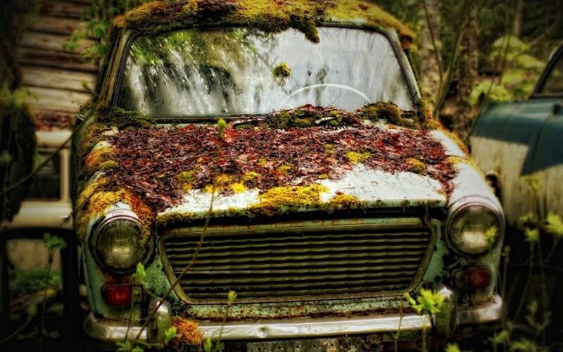 Abandoned Car Covered in Moss — Green
