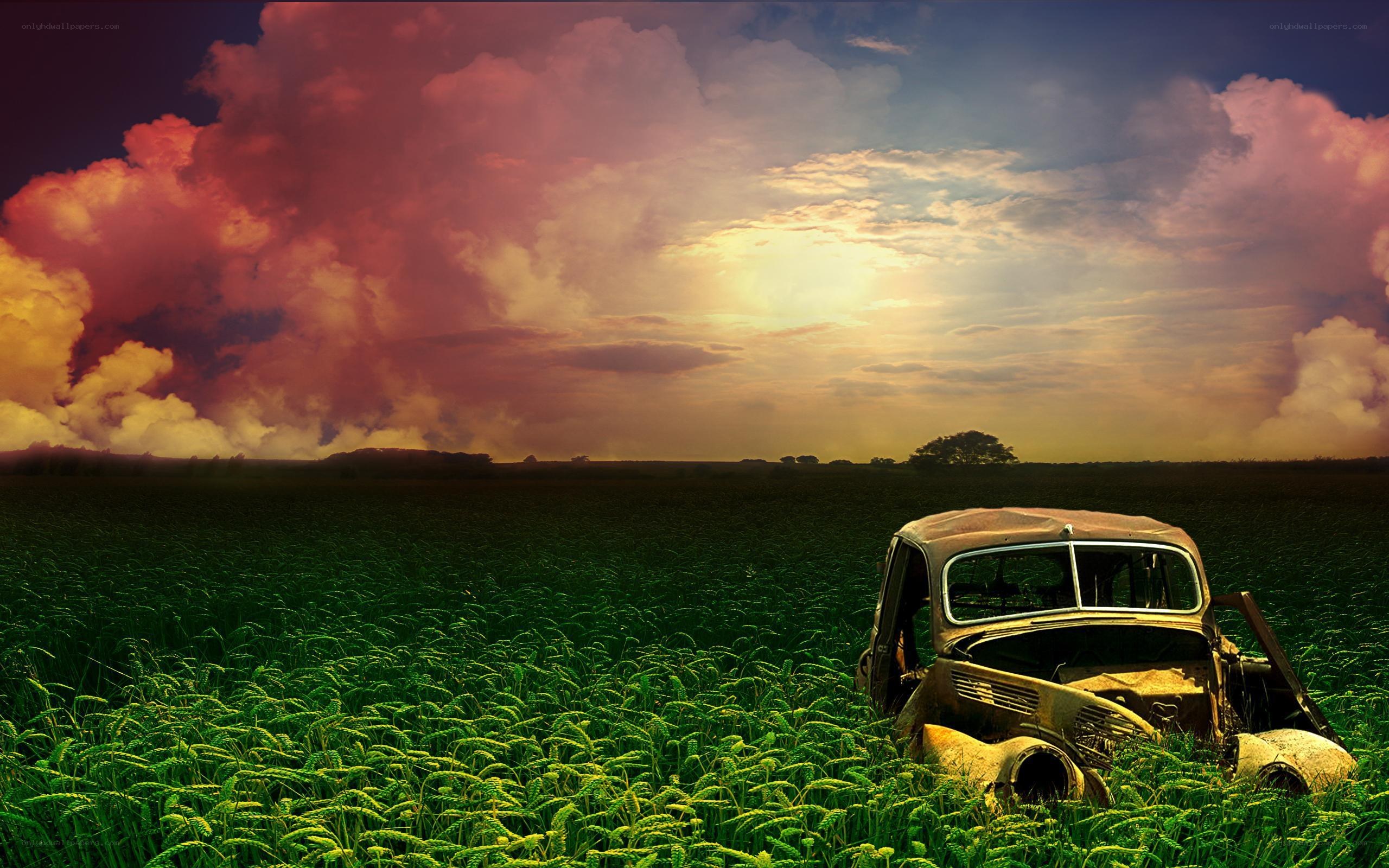 Abandoned car in a field