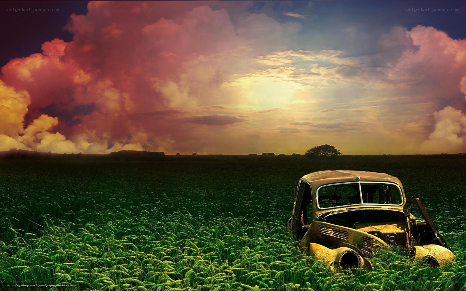 Abandoned car in a field