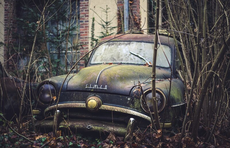 Abandoned Car in Bushes