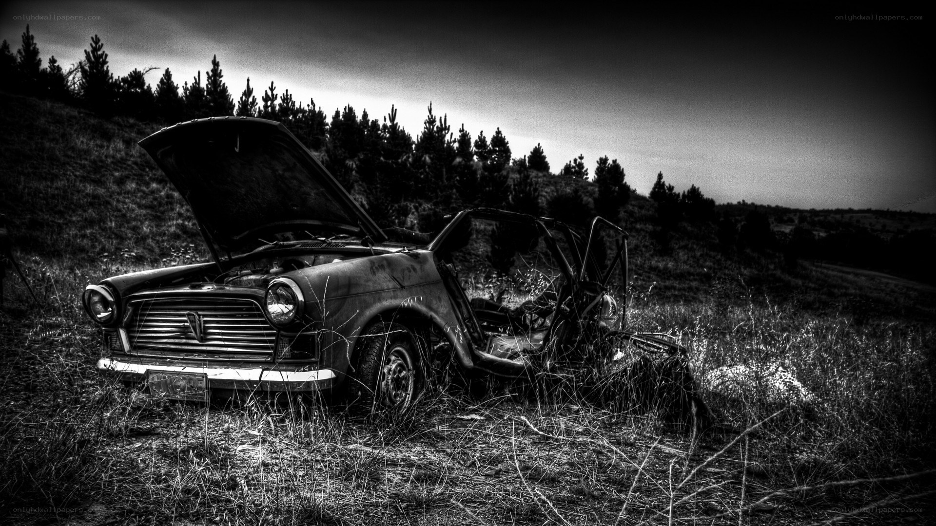 abandoned car in field