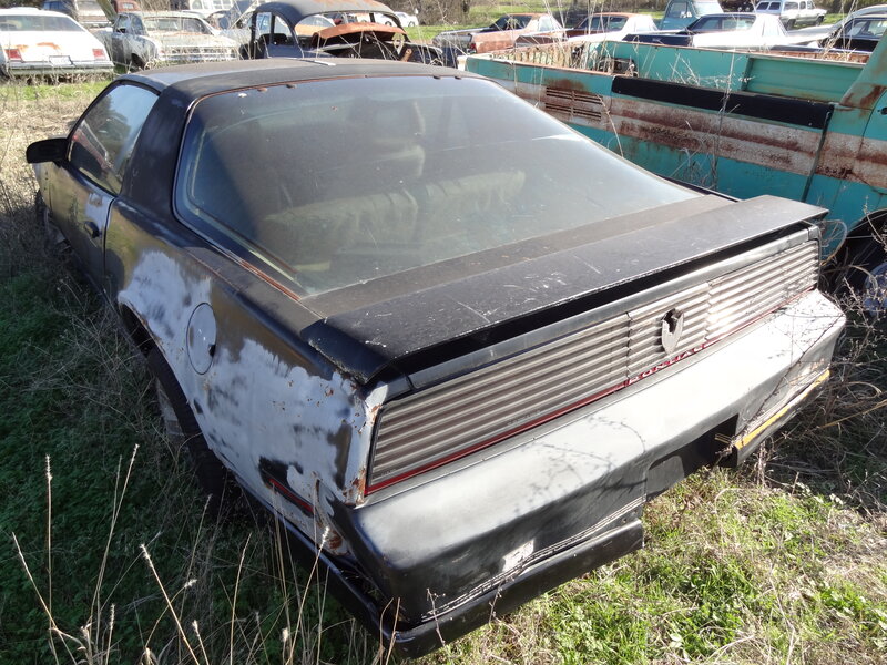 Abandoned Car in Field — Black