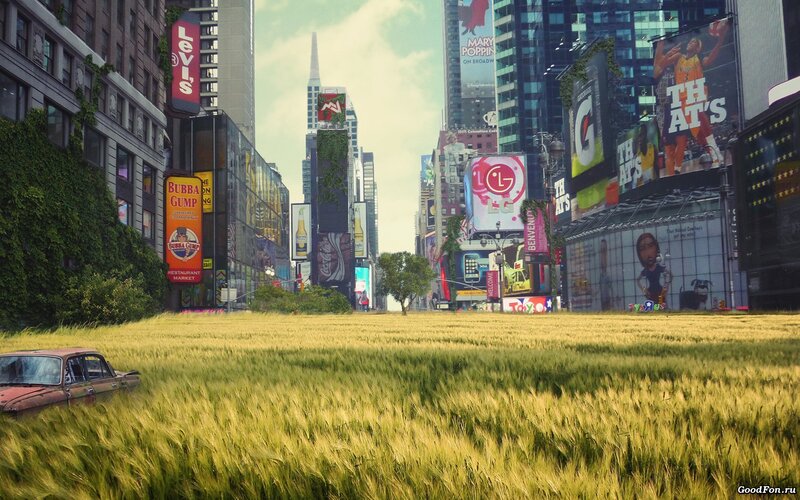 Abandoned Car in Field — Green, Dystopian