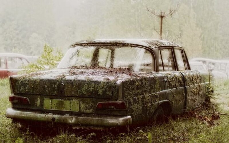 Abandoned Car in Field — Green, Overcast